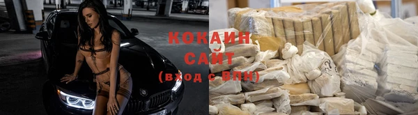 сатива Алексин
