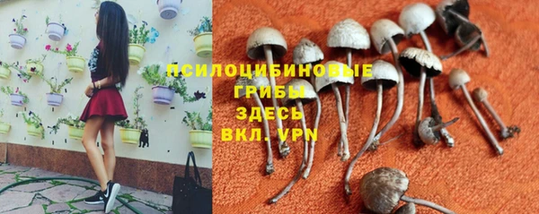 сатива Алексин