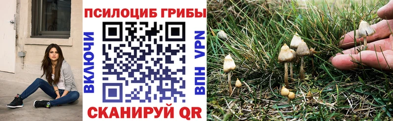 мега маркетплейс цены наркотик Ейск Псилоцибиновые грибы мухоморы
